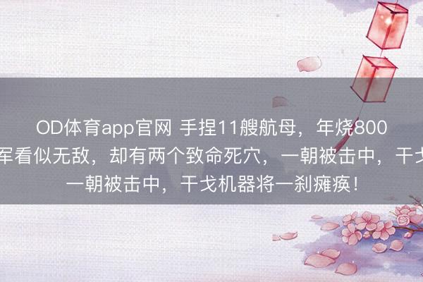 OD体育app官网 手捏11艘航母,年烧8000亿军费!好意思军看似无敌,却有两个致命死穴,一朝被击中,干戈机器将一刹瘫痪!