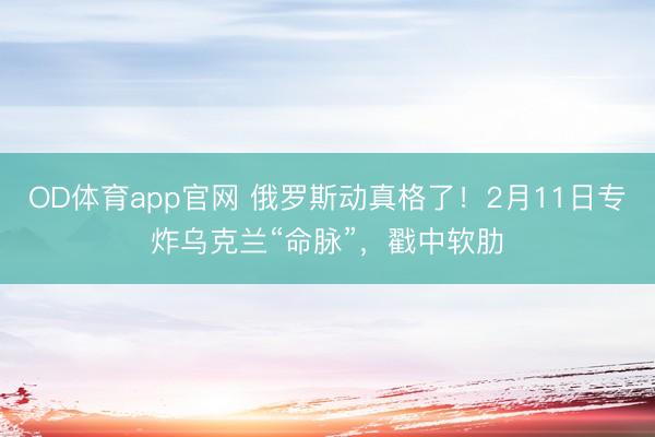 OD体育app官网 俄罗斯动真格了!2月11日专炸乌克兰“命脉”,戳中软肋