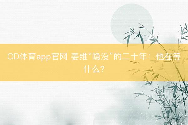 OD体育app官网 姜维“隐没”的二十年：他在等什么？