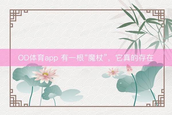 OD体育app 有一根“魔杖”，它真的存在