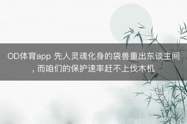 OD体育app 先人灵魂化身的袋兽重出东谈主间， 而咱们的保护速率赶不上伐木机